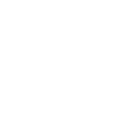 Semy Logo